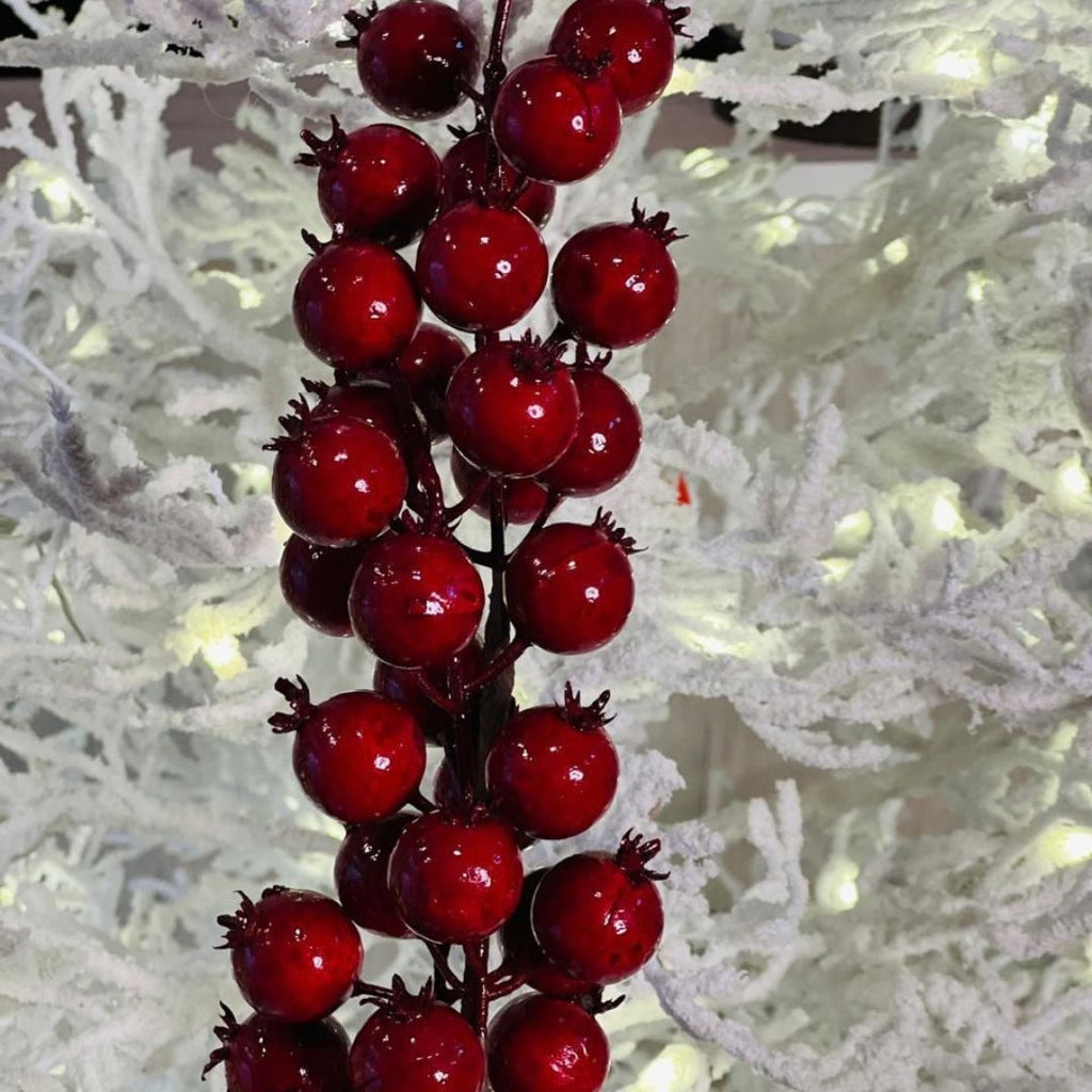 Haste Berry – 55 cm