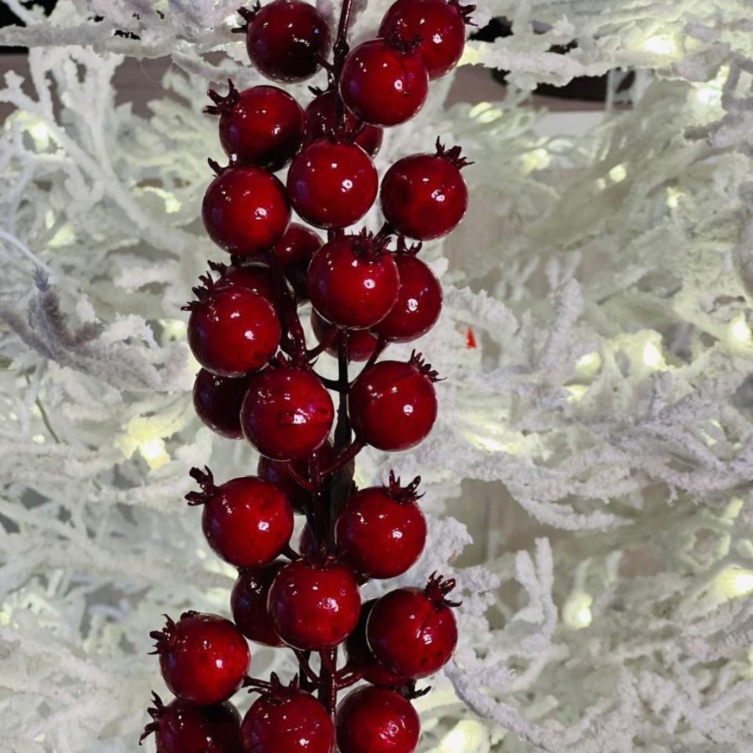 Haste Berry – 55 cm