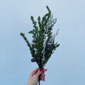 Haste Folhagem - 66cm
